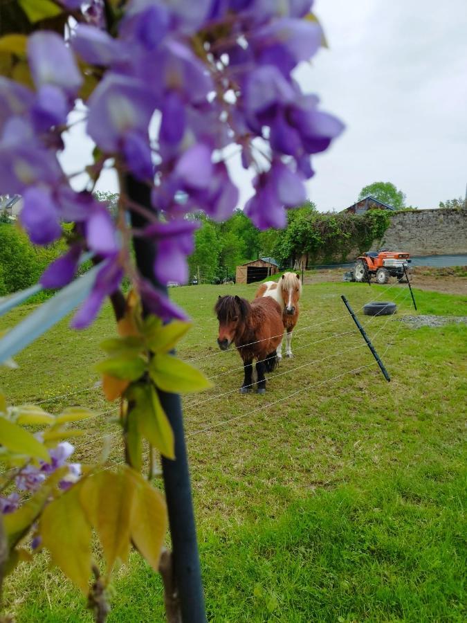 Le Domaine De Pivette Bed & Breakfast Avranches Exterior photo